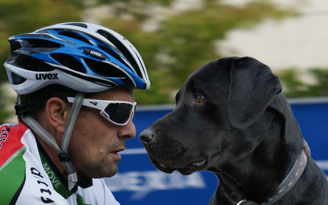 Hund und Radfahren, passt das zusammen?